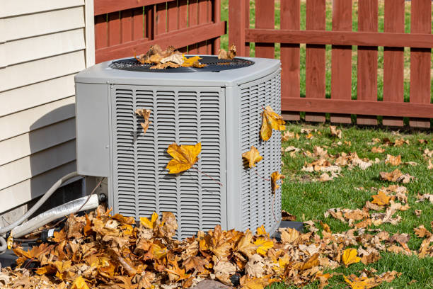 Best Air Quality Test  in Orting, WA